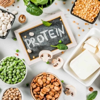 alternative protein food trends