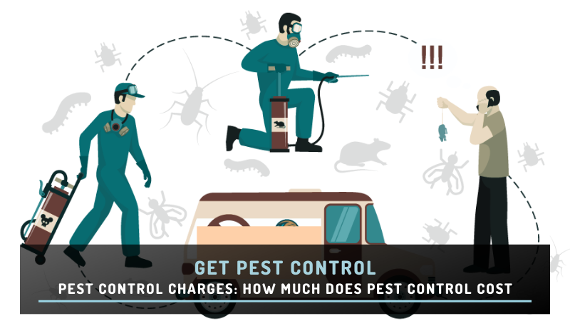 Pest Control Charges: How Much Does Pest Control Cost