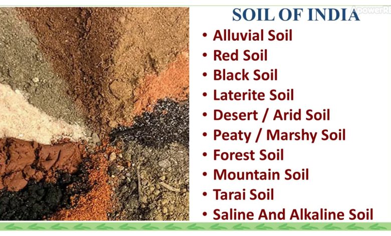 Different Varieties of Soil In India