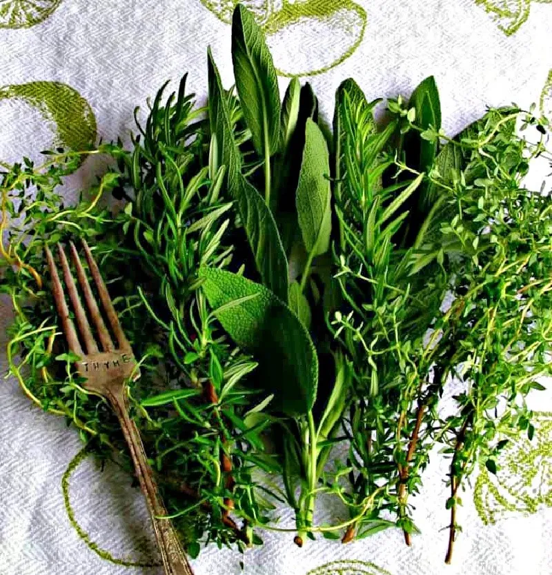 The Health Benefits and Uses of Organic Herbs