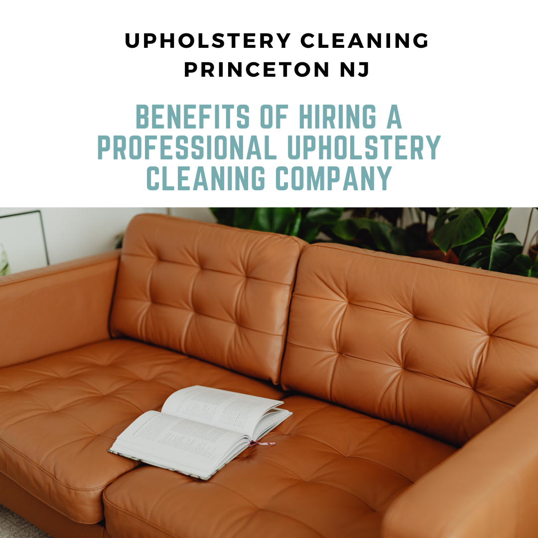 The Benefits of Hiring a Professional Upholstery Cleaning Company